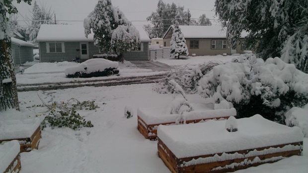 Winter Storm Atlas